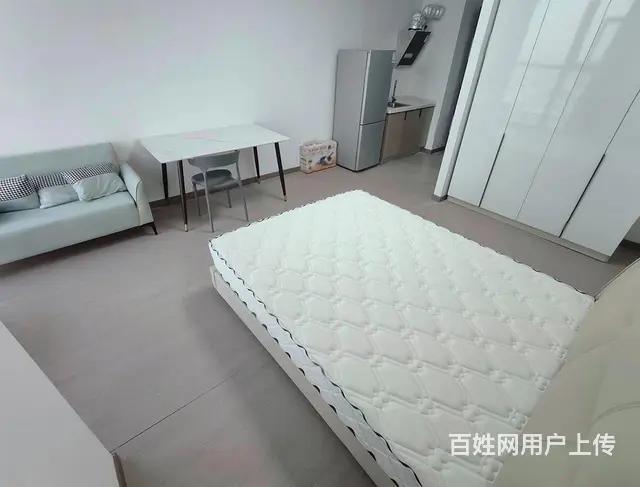 越洋国际 独门独户一房 押一付一 出门光明路地铁站 - 图片 5