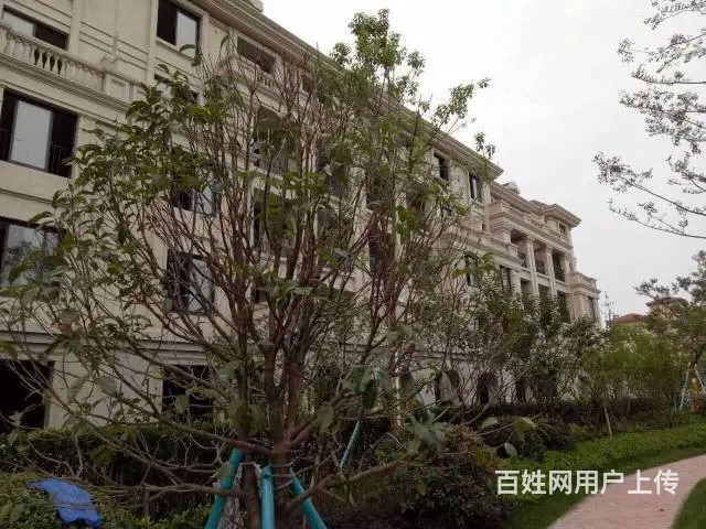 安吉繁花郡.坐拥2万方法式园林景观.紧邻杭安轻轨 - 图片 6