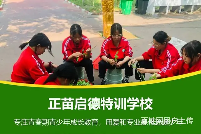 山东滨州叛逆不听话孩子改造学校 - 图片 2