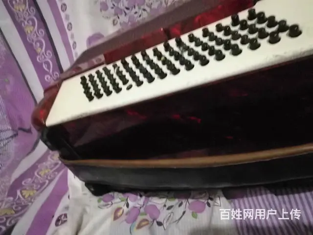 出售二手手风琴 - 图片 1