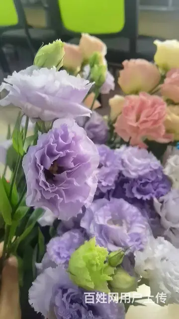 苏州吴花艺师培训在哪里报名 - 图片 1