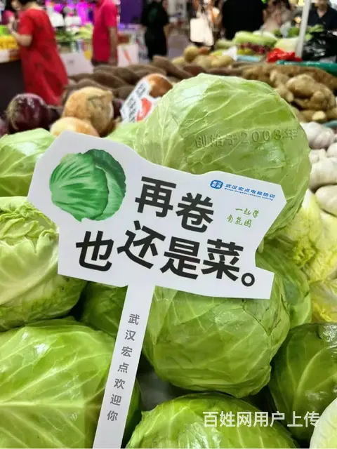 cad速成班需要多少时间 - 图片