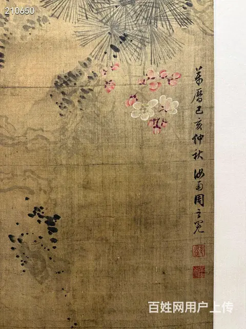 周之冕《松寿图》绢本立軸，画心尺寸66.5/154 - 图片 5