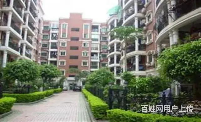 七星公馆沿街店面招租 茶叶店带装修适合茶叶烟酒燕窝 - 图片 6