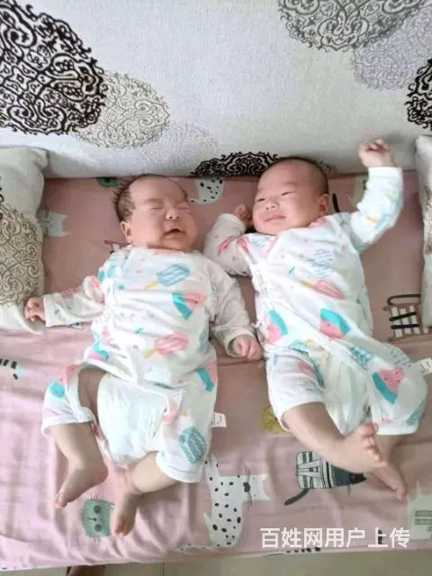 专业提供月嫂保姆钟点工育婴师催乳师钟点工护工 - 图片 8