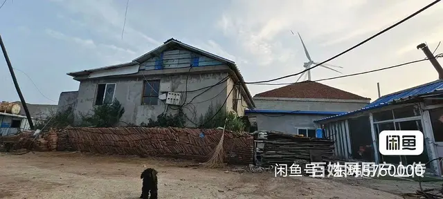 转让承包地，租赁也可以，温泉镇 - 图片 7