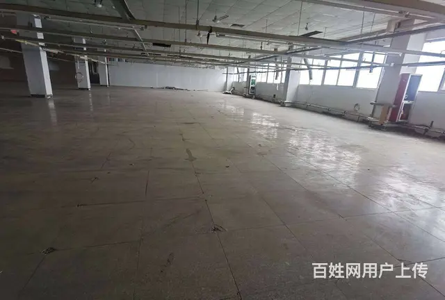 古里标准厂房 楼上2400平，有多部货梯，有蒸汽天然气，分租 - 图片 7