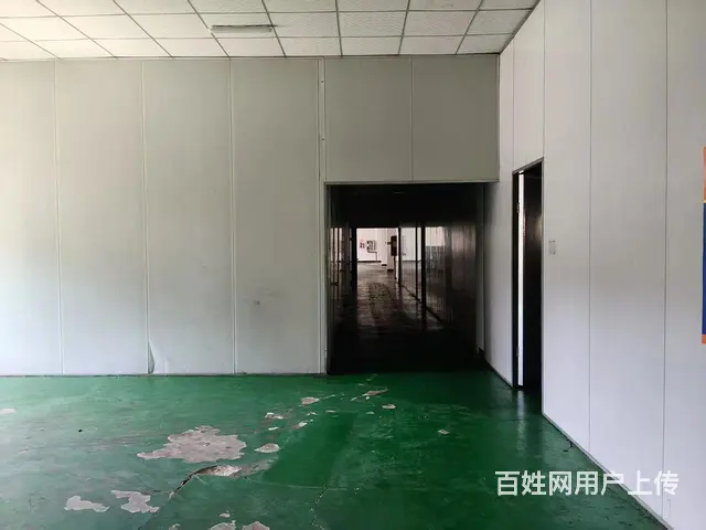 临安区高虹镇960方标准厂房出租 - 图片 2