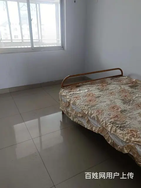  - 图片 6