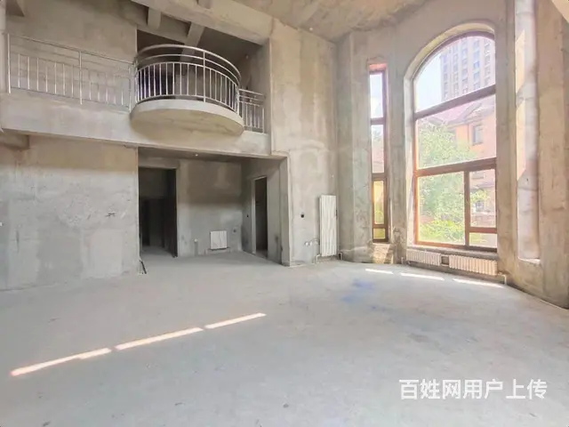 多套盛和天下300大院双拼墅三面采光700米双车库 - 图片 2