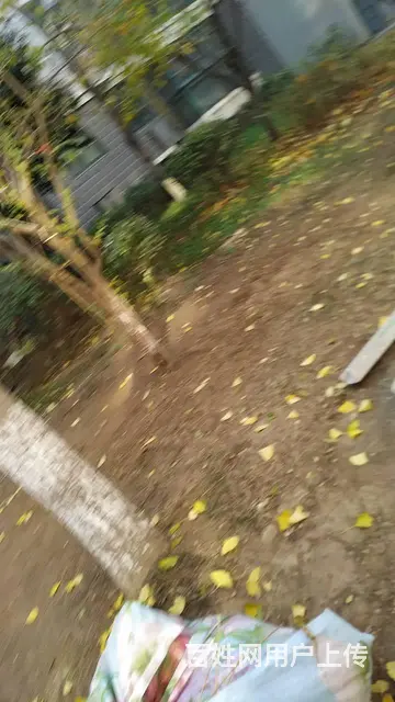 明日世纪花园 普通住宅 精装修 - 图片 9