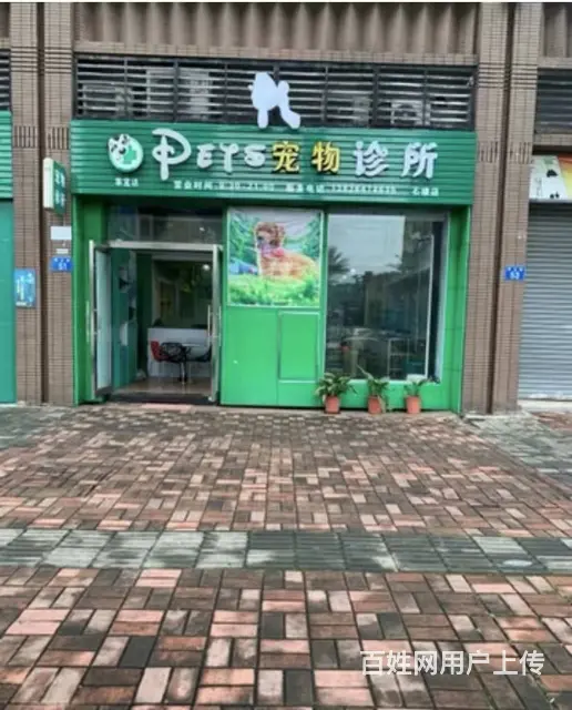 转让，动物(宠物）诊所 - 图片
