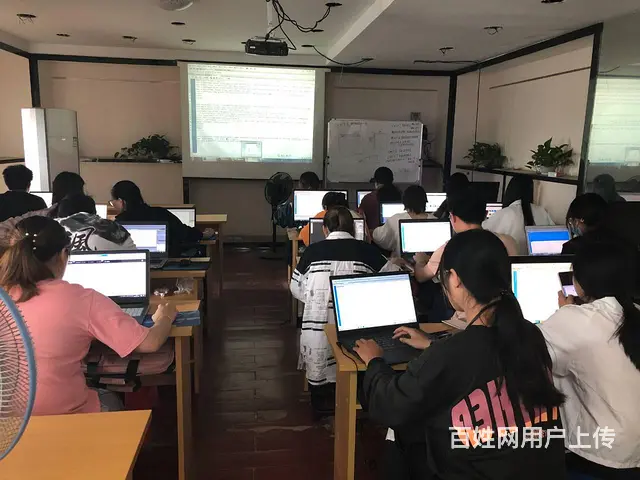 电商美工 淘宝运营 **主播运营 - 图片 3