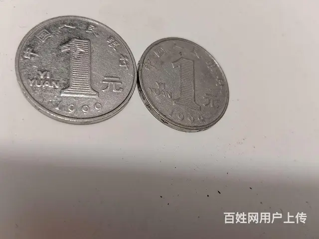千年菊花龙龙 - 图片 4