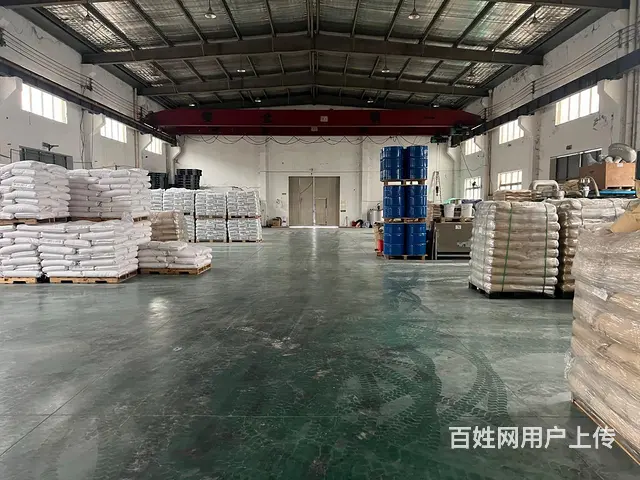 嘉善独门独院单层厂房3660平方出租 - 图片 2