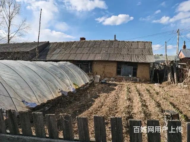萝北苗圃土房两室正南低价出售 - 图片 2