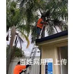 丹东想去美国出国打工货运装载车叉车司机办理不成功全额退费 - 图片 8