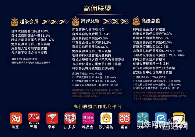 高佣联盟介绍,高佣联盟国团队加入 - 图片 8
