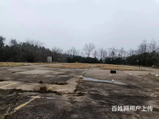 （老板本人）大型水泥坪硬化场地出租（可分租）  6078 - 图片 4