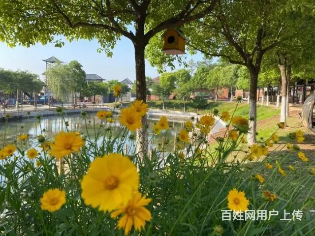 合肥蓝山湾大锅灶收费，预定 - 图片 11