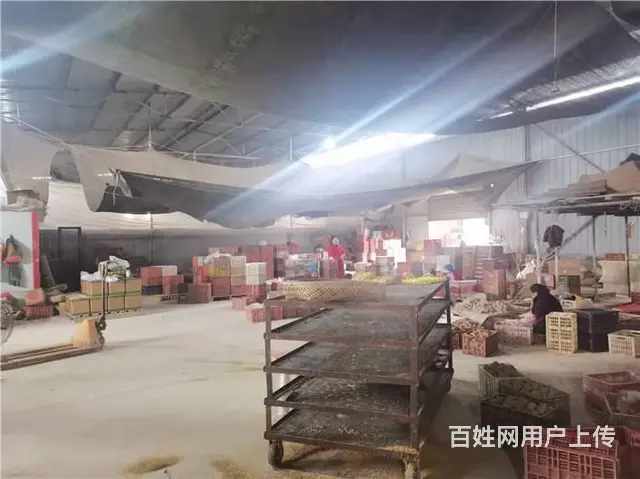 广汉市南丰镇1000㎡厂房+场地（约12亩）、鱼塘（约4亩） - 图片 4