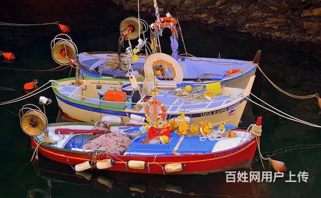 苏州吴中吴江金桥翻译社提供英语日语笔译服务 - 图片