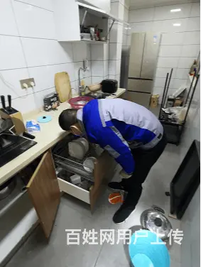 商丘灭蟑螂电话商丘绿佳环保 - 图片 1