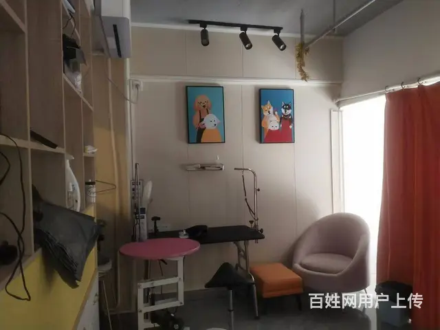 （51旺铺推荐）龙昆南悦城135平宠物店转让 - 图片 3