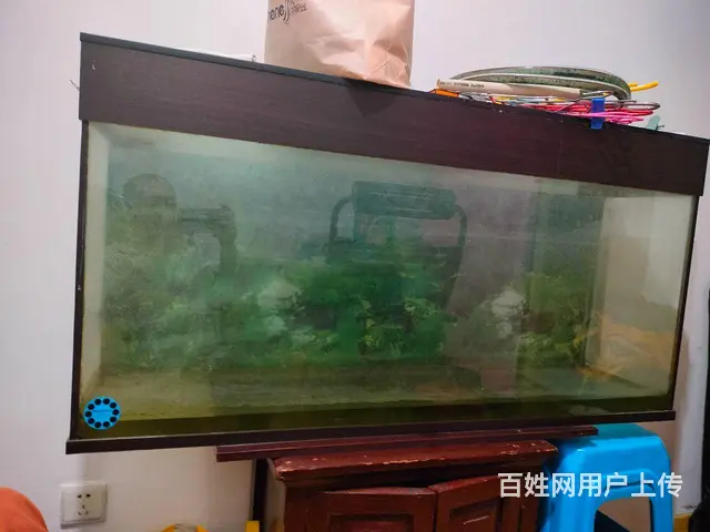 【搞定了！】鱼缸 - 图片