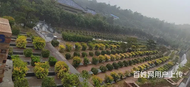 颐福陵园接待处 - 图片 4
