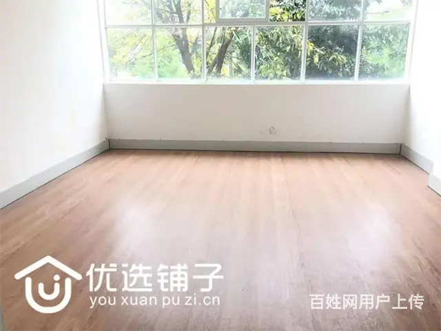 （优选铺子）西外凤凰大道600㎡商铺出租（可分租） - 图片 4
