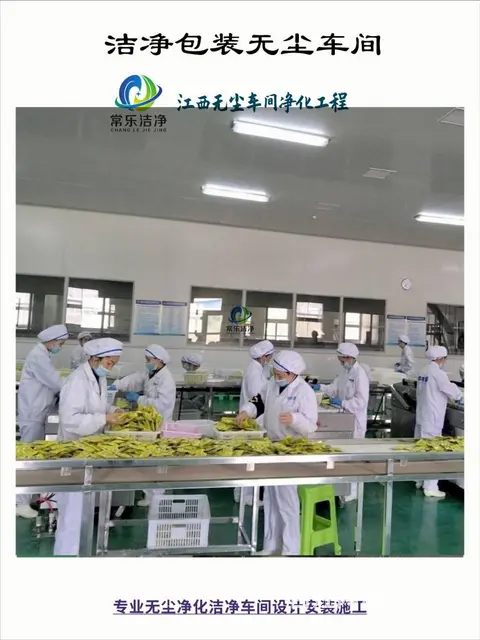 江西吉安食品洁净无尘室设计公司抚州净化车间施工厂家 - 图片 3