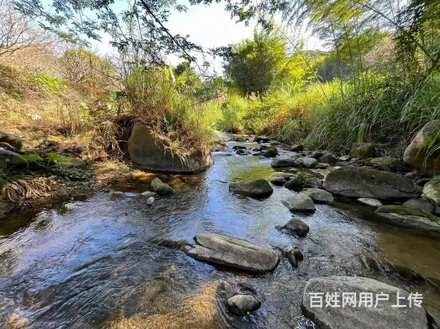 从化区良口镇旅游区溪水边3亩亩山地果园整体转让 - 图片 8