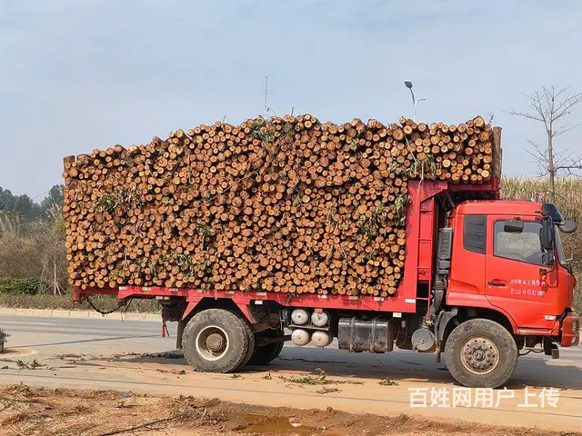 东风 自卸车 国5 - 图片 1