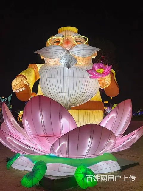2025花灯展览灯光秀 - 图片 4