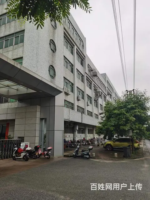 珠海斗门黄杨大道边12.5亩建筑4200平方独院厂 - 图片 1