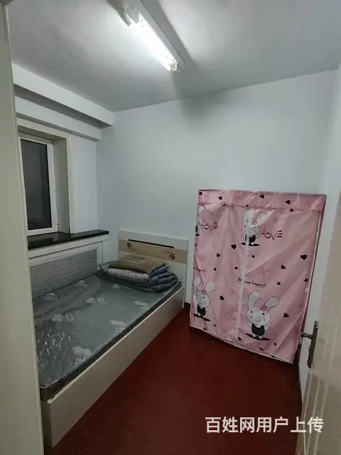 新鹤A区时代广场附近 普通住宅1厅 中等装修 - 图片 2