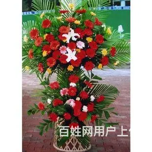合肥开业花篮/合肥鲜花绿植/合肥开业发财树/金钱树 - 图片 4