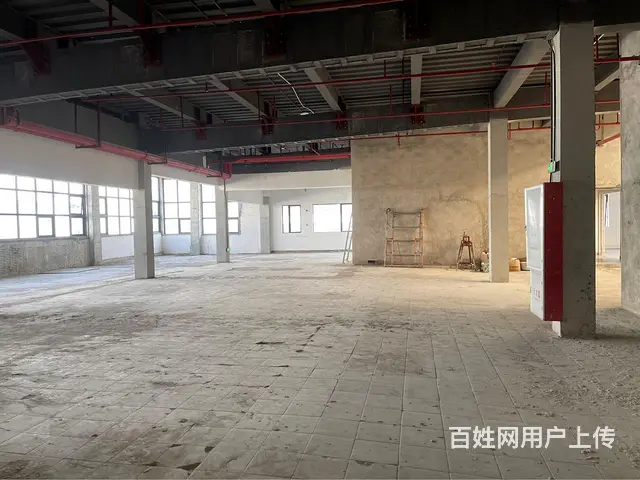 珠海前山明珠南路产业园招租 - 图片 5