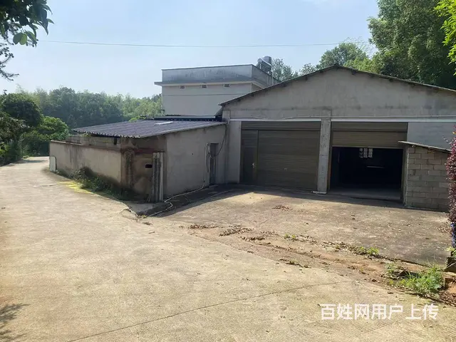 (房东直租)黄花黄兴大道松雅湖旁300-500平厂房优价出租 - 图片 2
