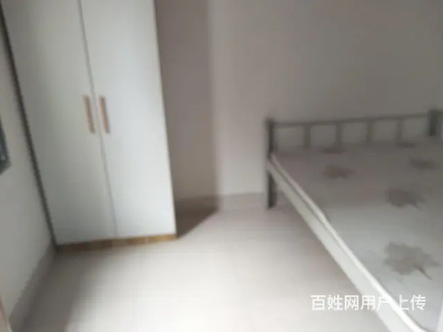 自建新瓦房出租 - 图片 3