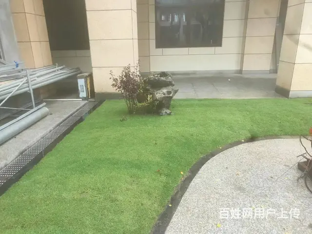 徐州锦鲤鱼池净化系统，假山太湖石假山设计安装制做 - 图片 3