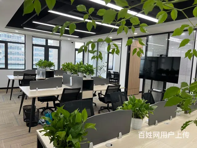 云狐科技园 直播电商好地方 房补1元 带露台精装直播间拎包 - 图片 1