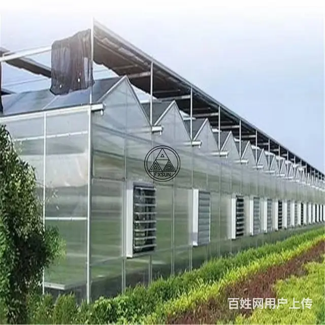 泗水阳光板厂家泗水阳光板电话泗水阳光板地址 - 图片 1