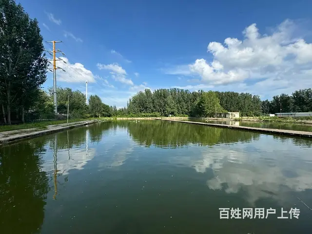 （徐州找店网）东区营业中鱼塘转让 - 图片 7
