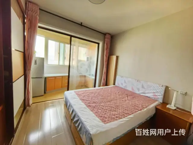 三站东方巴黎精装一室一厅电梯房出租1500 - 图片 3