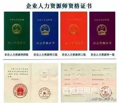 学习人力资源管理师证书！打造职业发展的关键之路 - 图片 3