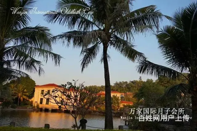 月嫂、育婴师、高管、管家、保姆、保镖、厨师、护工 - 图片 12
