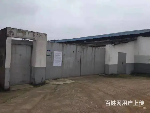 （老板本人）岳麓区黄桥大道附近工业园厂房仓库房东出租5753 - 图片 4
