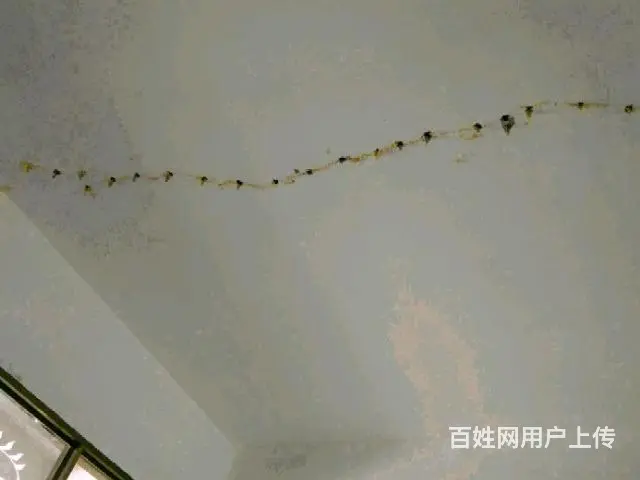 楼面列缝补漏，SBS卷材防水，高压注浆 - 图片 8